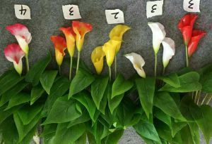 High Quality of Artificial Flowers Calla Lily Bush Gu1495851826503